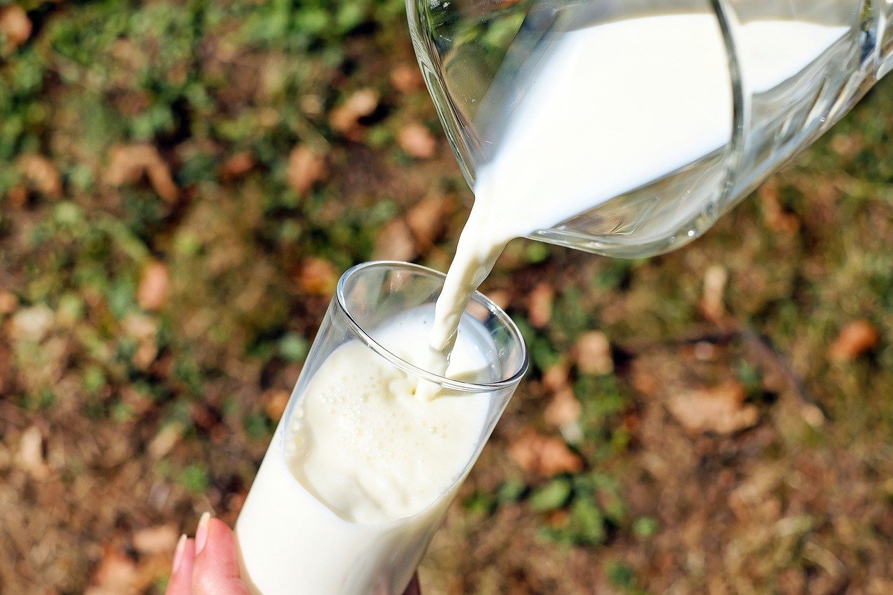 Scadenza del latte: tutto quello che devi sapere - La Pecorella